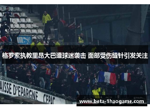 格罗索执教里昂大巴遭球迷袭击 面部受伤缝针引发关注